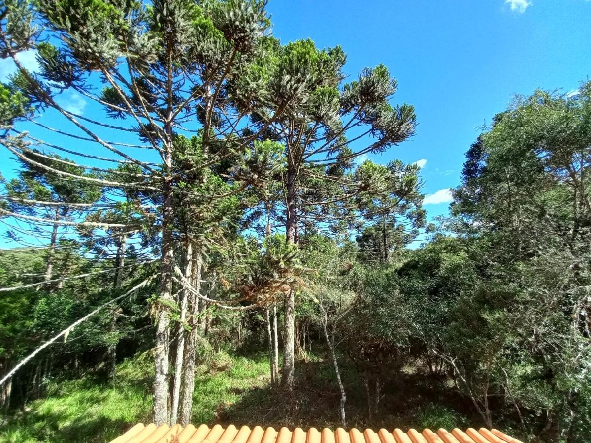 Cabana Na Floresta Rincao Do Fortaleza Cambará Εξωτερικό φωτογραφία