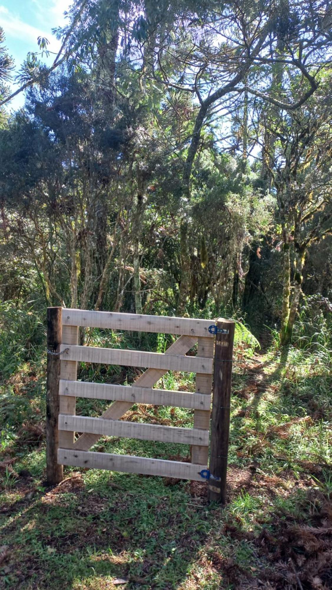 Cabana Na Floresta Rincao Do Fortaleza Cambará Εξωτερικό φωτογραφία