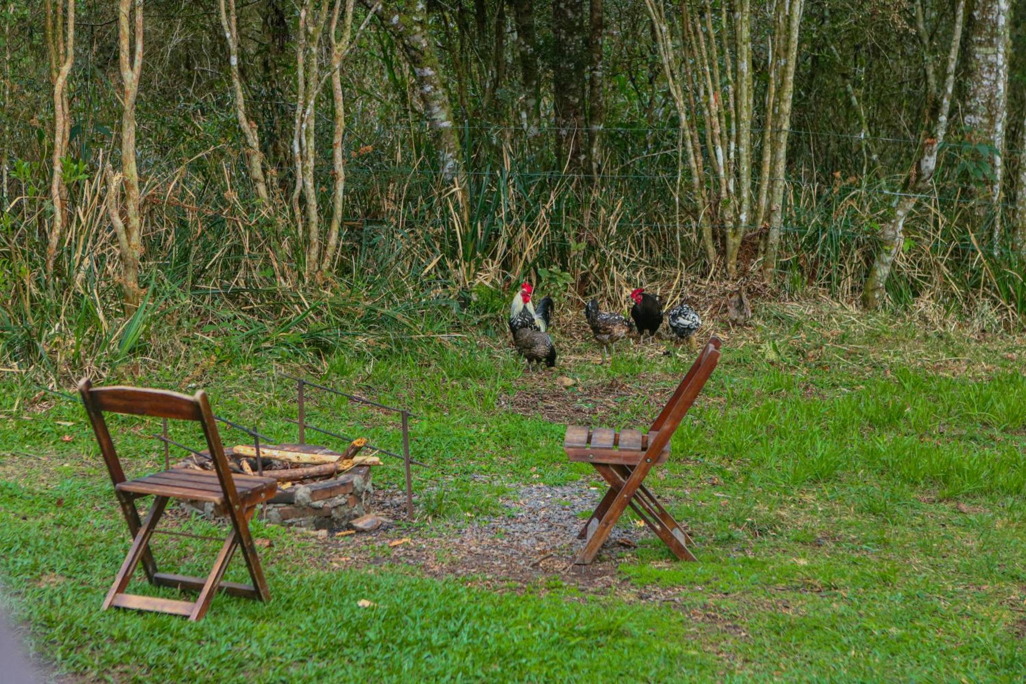 Cabana Na Floresta Rincao Do Fortaleza Cambará Εξωτερικό φωτογραφία